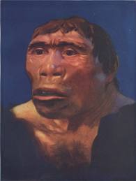 Rekonstruksi  pithecanthropus berdasarkan fosil tengkorak yang ditemukan. 