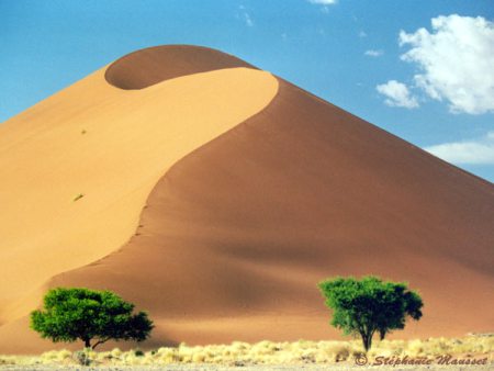 Sand Dune (Bukit Pasir)